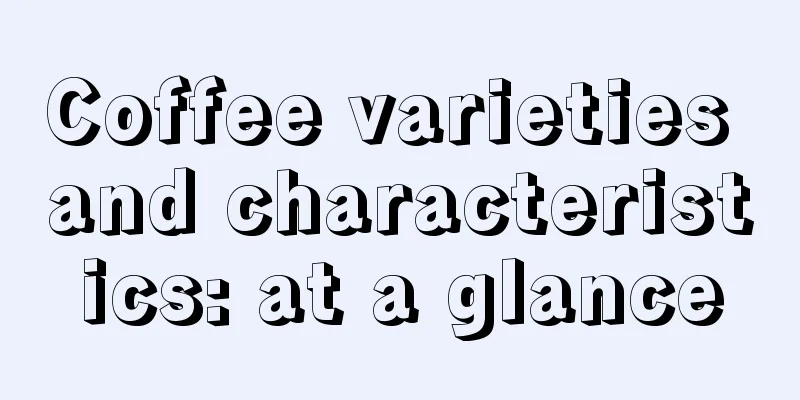 Coffee varieties and characteristics: at a glance