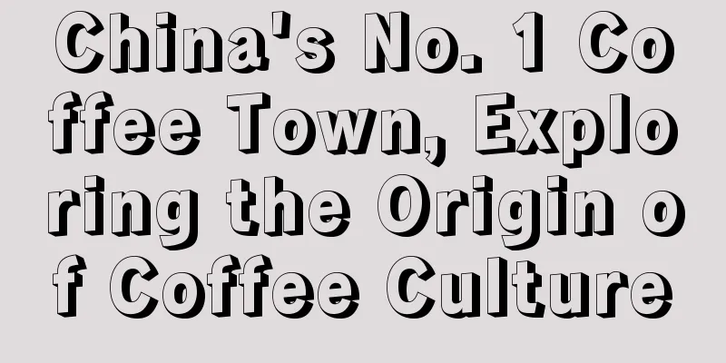 China's No. 1 Coffee Town, Exploring the Origin of Coffee Culture