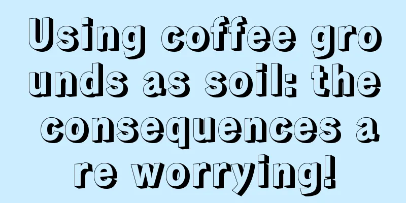 Using coffee grounds as soil: the consequences are worrying!