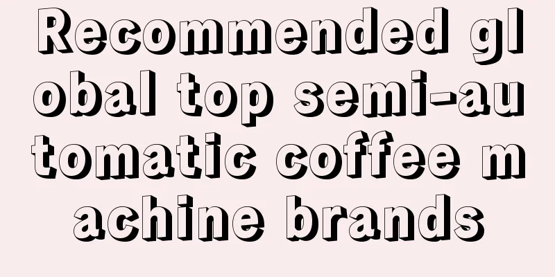 Recommended global top semi-automatic coffee machine brands