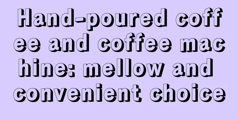 Hand-poured coffee and coffee machine: mellow and convenient choice