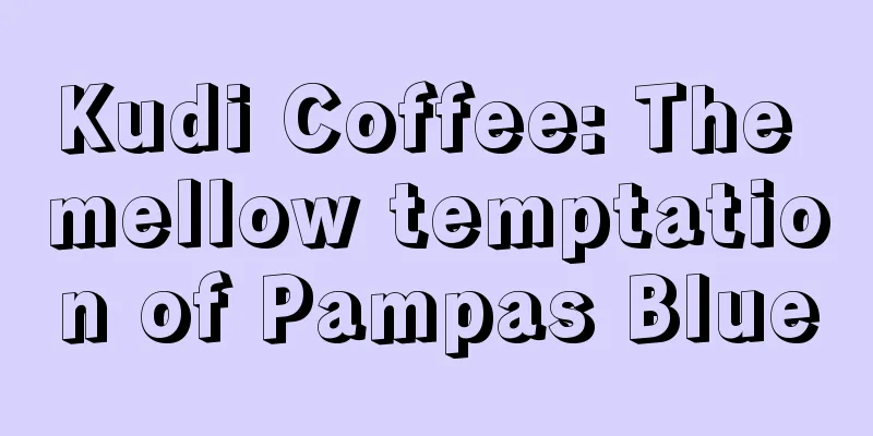 Kudi Coffee: The mellow temptation of Pampas Blue