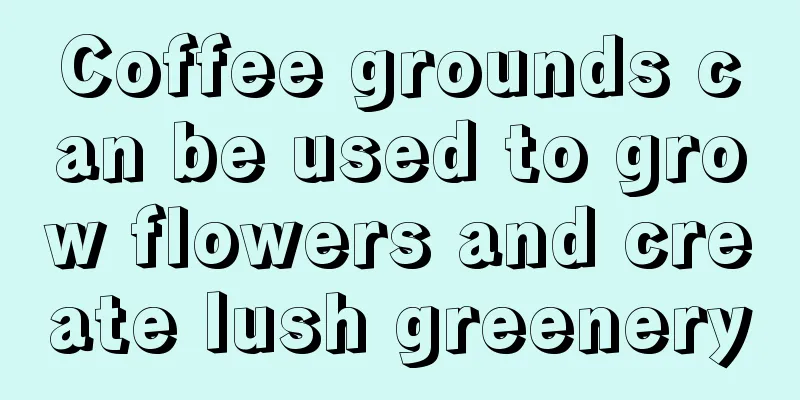 Coffee grounds can be used to grow flowers and create lush greenery