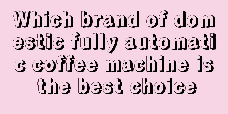 Which brand of domestic fully automatic coffee machine is the best choice