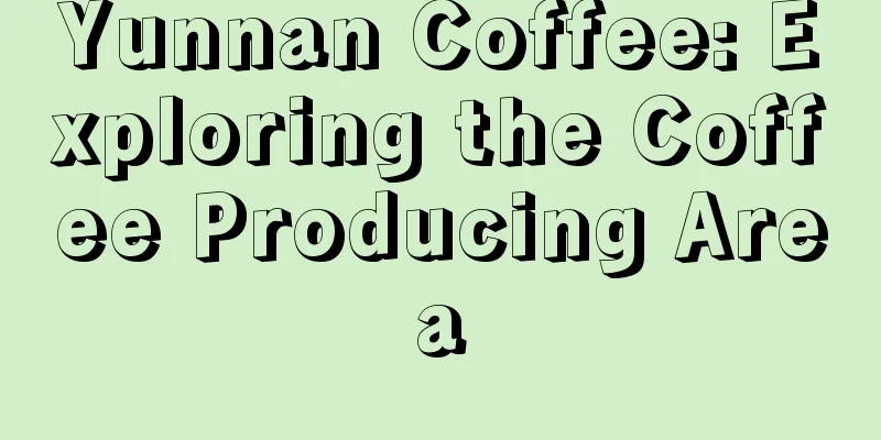 Yunnan Coffee: Exploring the Coffee Producing Area