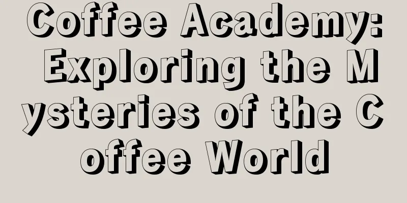 Coffee Academy: Exploring the Mysteries of the Coffee World