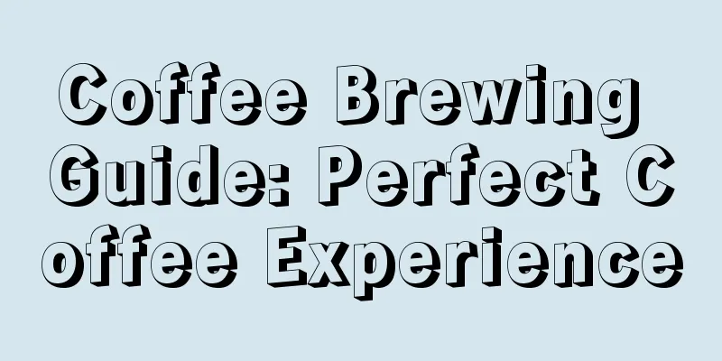 Coffee Brewing Guide: Perfect Coffee Experience