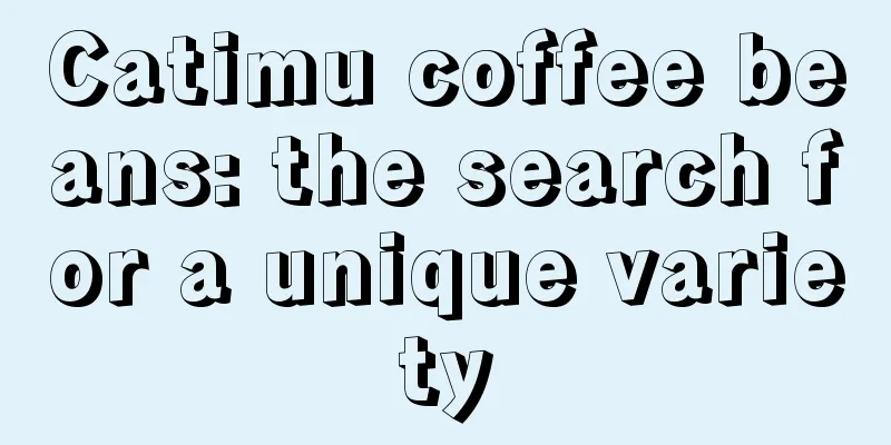 Catimu coffee beans: the search for a unique variety