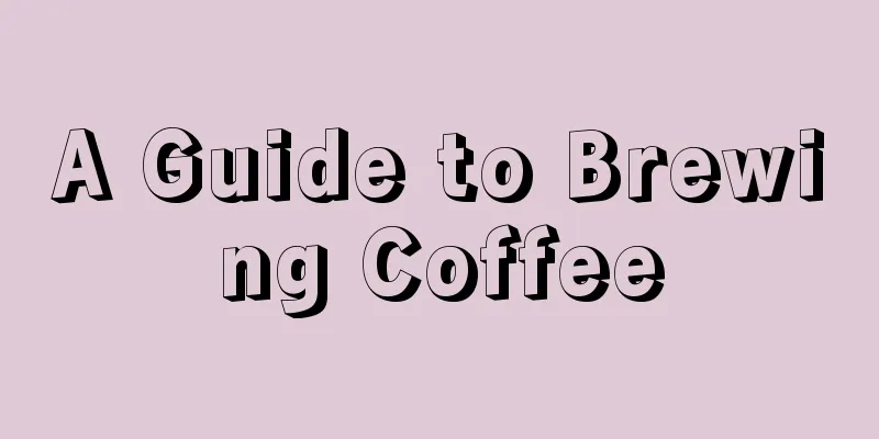 A Guide to Brewing Coffee