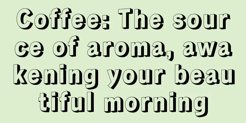 Coffee: The source of aroma, awakening your beautiful morning