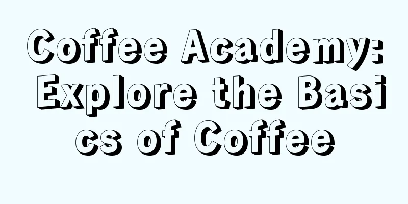 Coffee Academy: Explore the Basics of Coffee