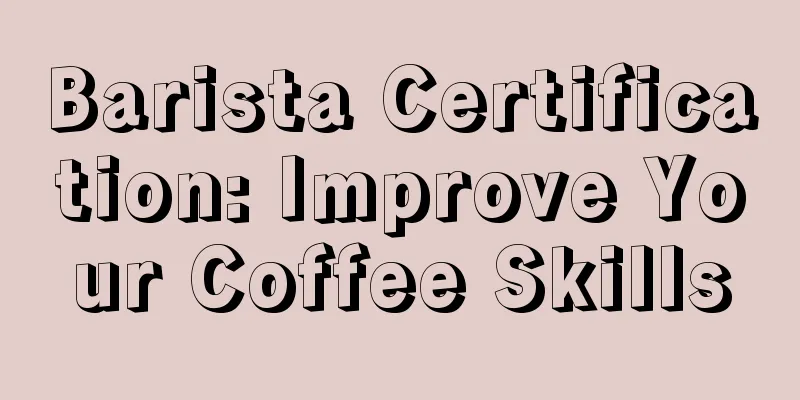 Barista Certification: Improve Your Coffee Skills