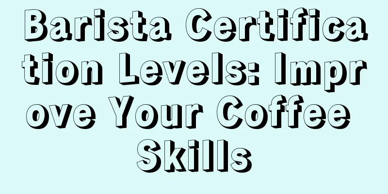 Barista Certification Levels: Improve Your Coffee Skills