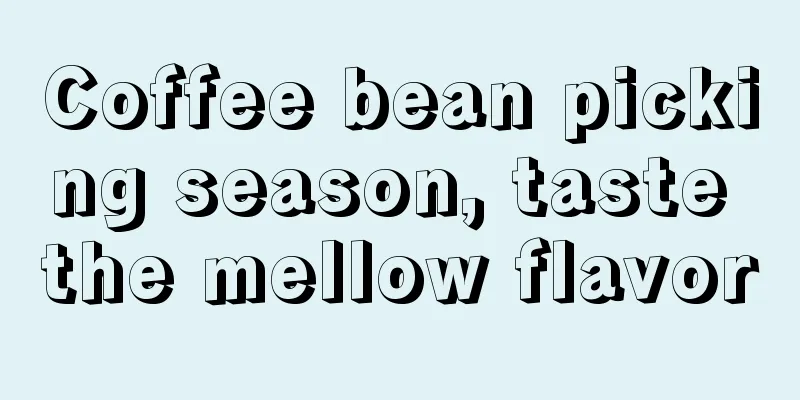 Coffee bean picking season, taste the mellow flavor