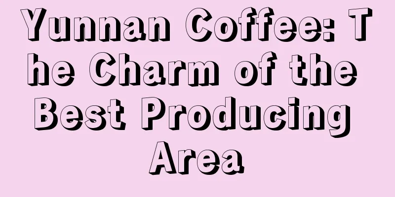 Yunnan Coffee: The Charm of the Best Producing Area