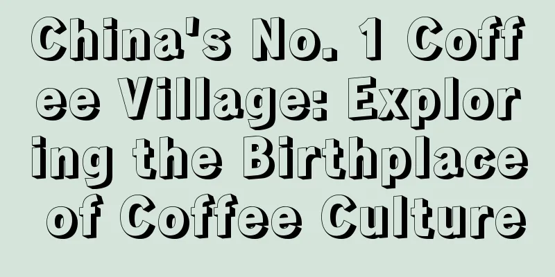 China's No. 1 Coffee Village: Exploring the Birthplace of Coffee Culture