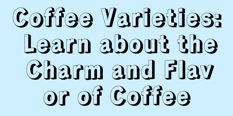 Coffee Varieties: Learn about the Charm and Flavor of Coffee