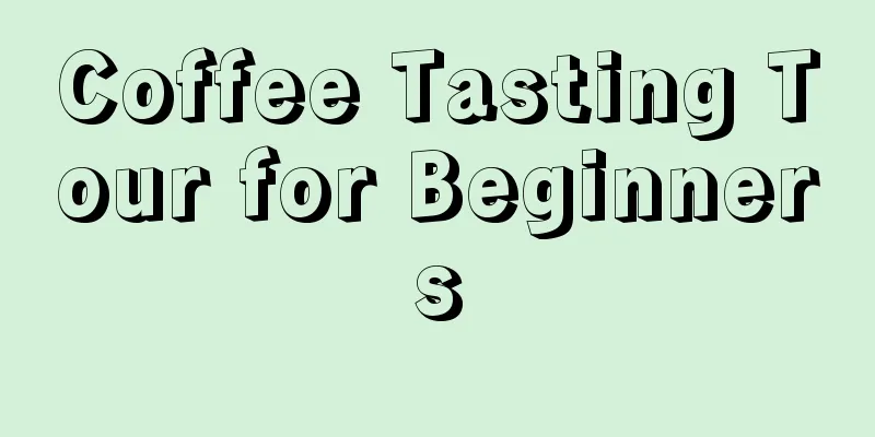 Coffee Tasting Tour for Beginners