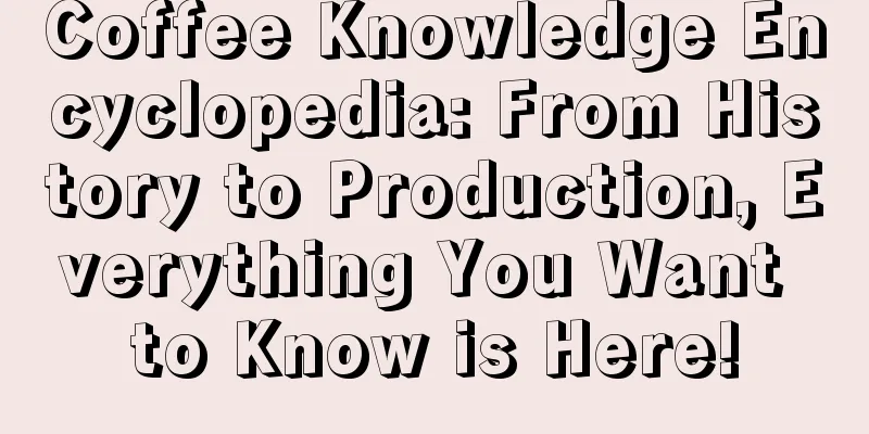 Coffee Knowledge Encyclopedia: From History to Production, Everything You Want to Know is Here!