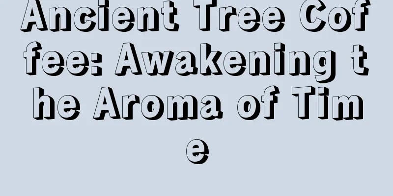 Ancient Tree Coffee: Awakening the Aroma of Time