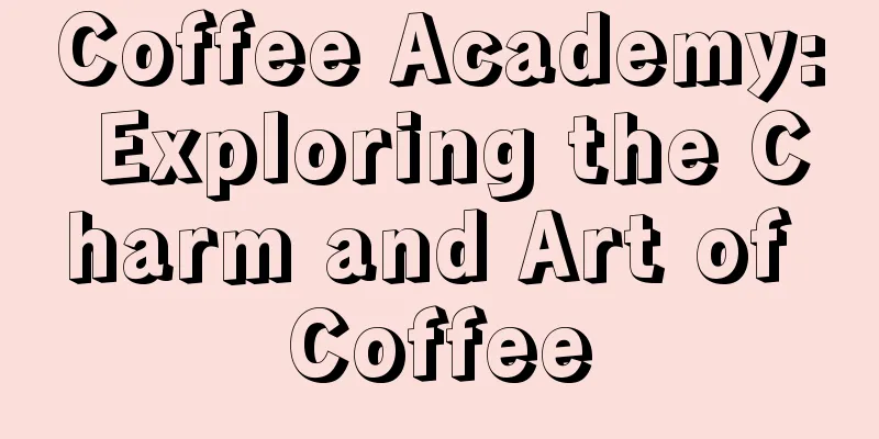 Coffee Academy: Exploring the Charm and Art of Coffee