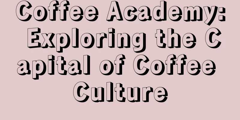 Coffee Academy: Exploring the Capital of Coffee Culture