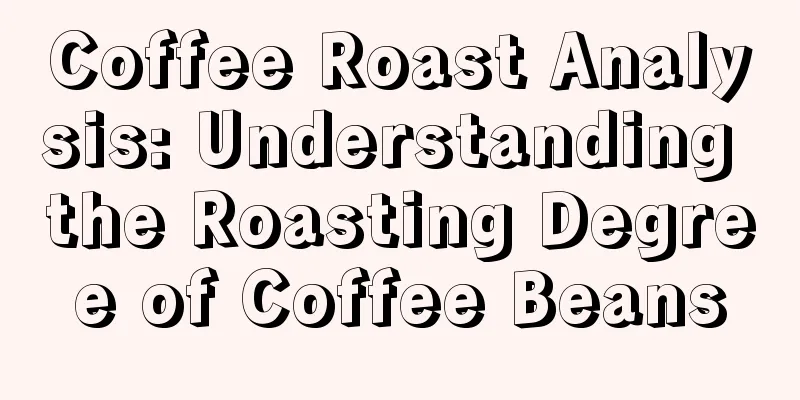 Coffee Roast Analysis: Understanding the Roasting Degree of Coffee Beans