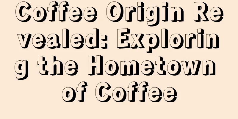 Coffee Origin Revealed: Exploring the Hometown of Coffee