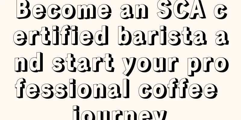 Become an SCA certified barista and start your professional coffee journey