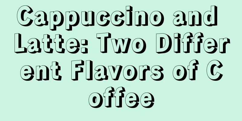 Cappuccino and Latte: Two Different Flavors of Coffee