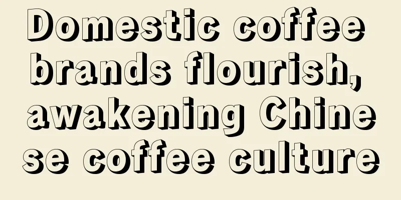 Domestic coffee brands flourish, awakening Chinese coffee culture