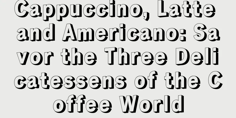 Cappuccino, Latte and Americano: Savor the Three Delicatessens of the Coffee World