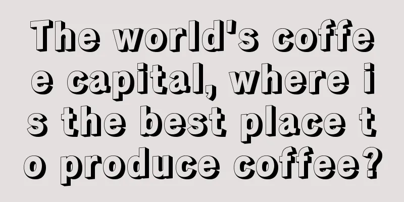 The world's coffee capital, where is the best place to produce coffee?