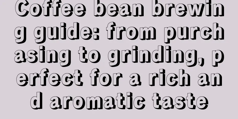 Coffee bean brewing guide: from purchasing to grinding, perfect for a rich and aromatic taste