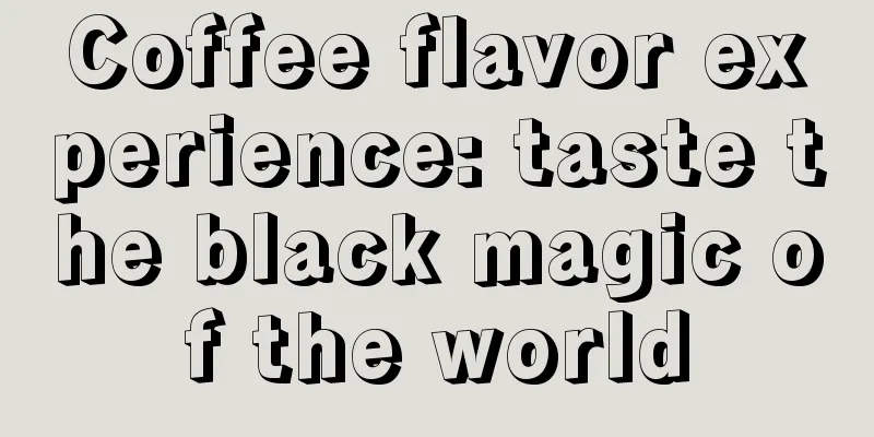 Coffee flavor experience: taste the black magic of the world