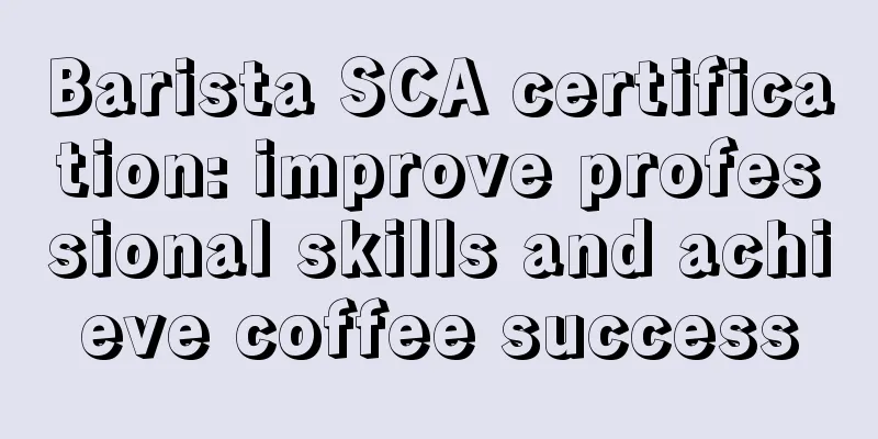 Barista SCA certification: improve professional skills and achieve coffee success