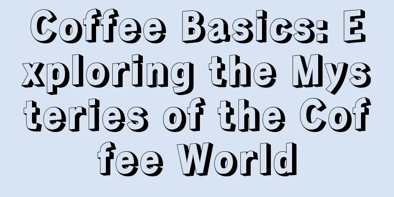 Coffee Basics: Exploring the Mysteries of the Coffee World