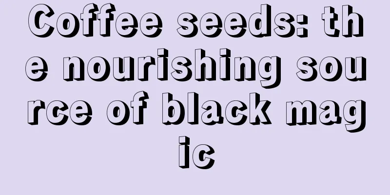 Coffee seeds: the nourishing source of black magic