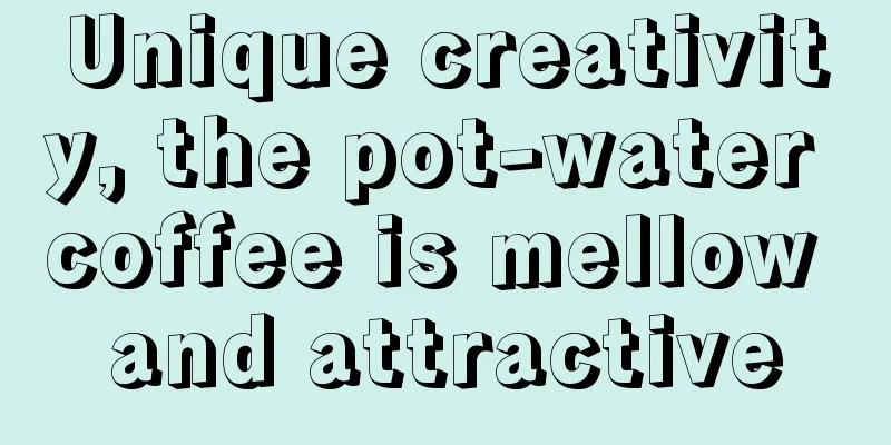 Unique creativity, the pot-water coffee is mellow and attractive