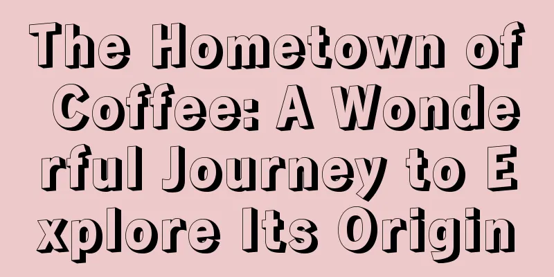 The Hometown of Coffee: A Wonderful Journey to Explore Its Origin