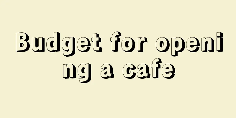 Budget for opening a cafe