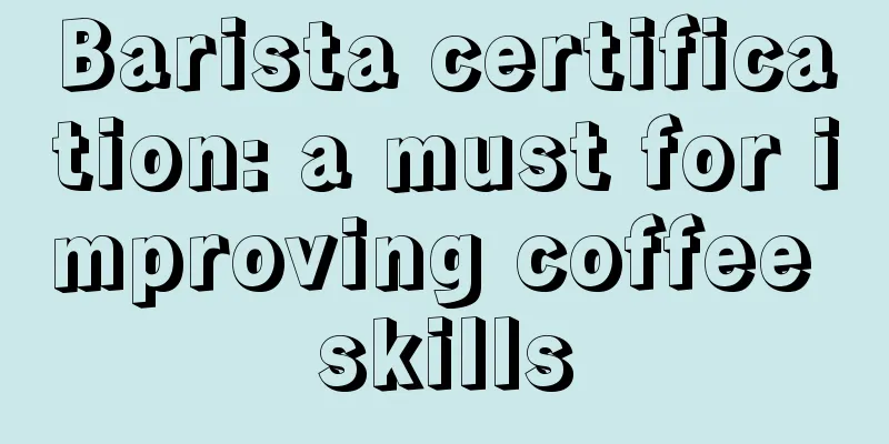 Barista certification: a must for improving coffee skills