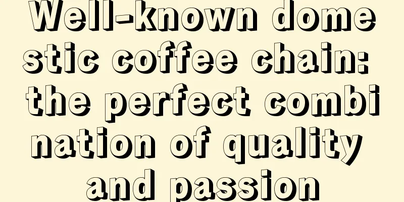 Well-known domestic coffee chain: the perfect combination of quality and passion