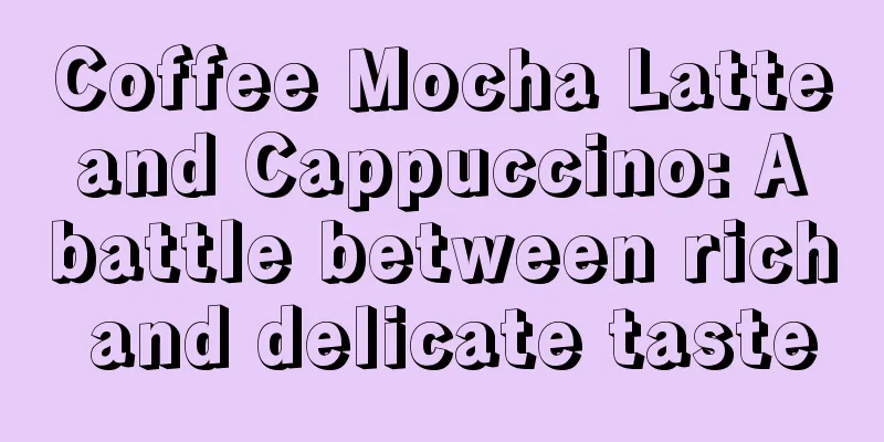 Coffee Mocha Latte and Cappuccino: A battle between rich and delicate taste