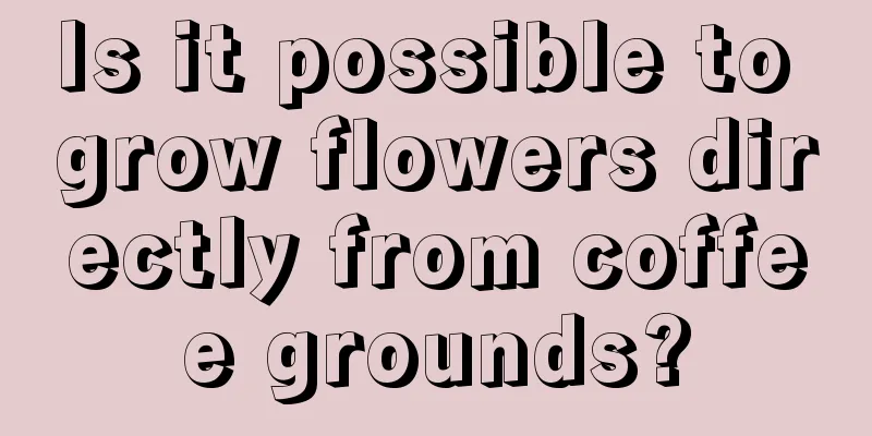 Is it possible to grow flowers directly from coffee grounds?