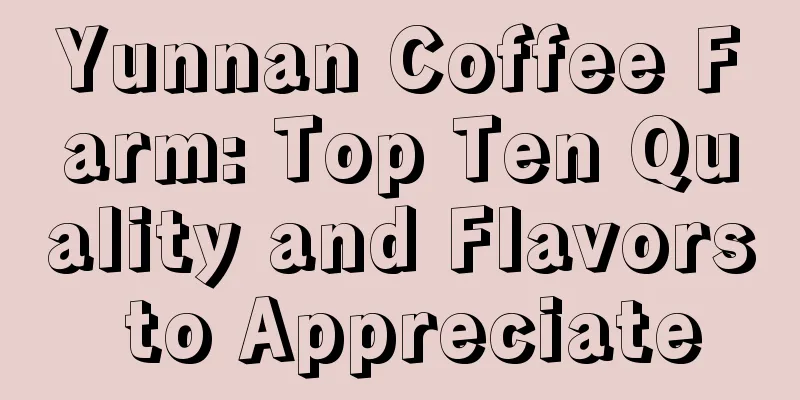 Yunnan Coffee Farm: Top Ten Quality and Flavors to Appreciate