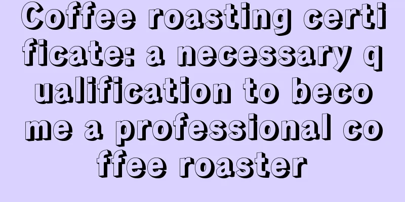 Coffee roasting certificate: a necessary qualification to become a professional coffee roaster