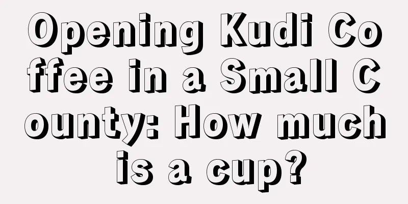 Opening Kudi Coffee in a Small County: How much is a cup?