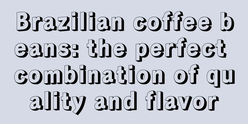 Brazilian coffee beans: the perfect combination of quality and flavor