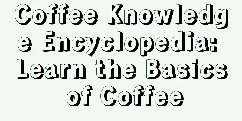 Coffee Knowledge Encyclopedia: Learn the Basics of Coffee